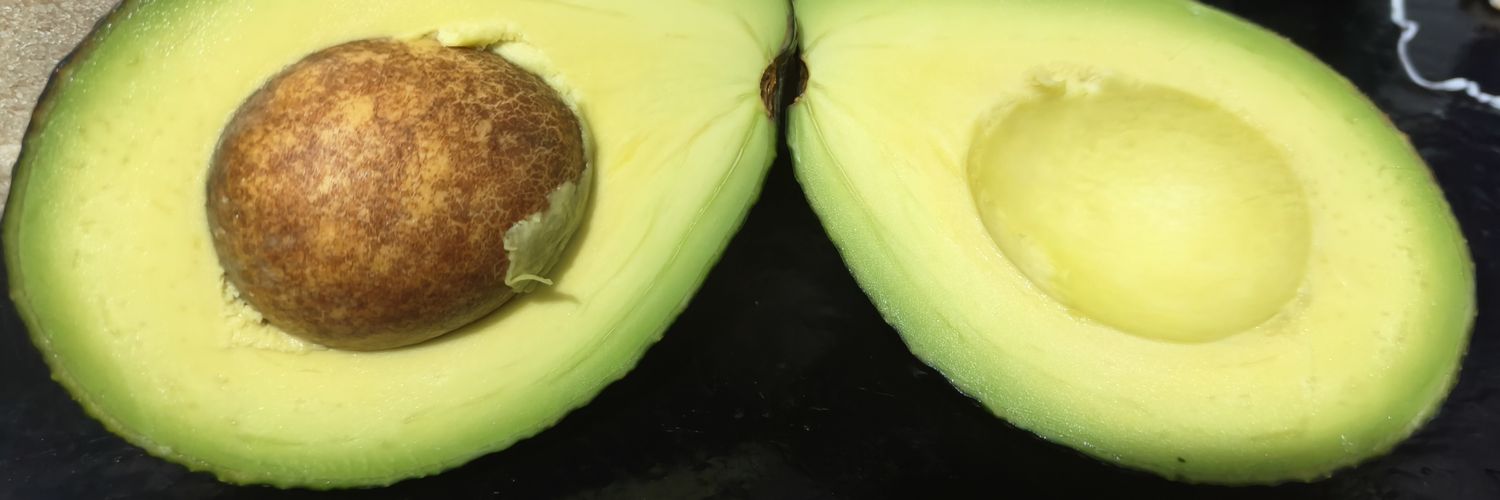 YAZMIN CORONA banner