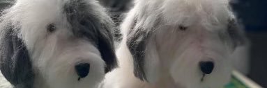 Tonchi 😷 🌊 ReSisTer 🌊 banner