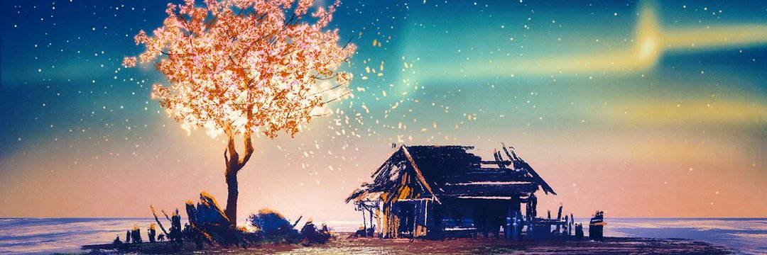 PraVish Inc banner