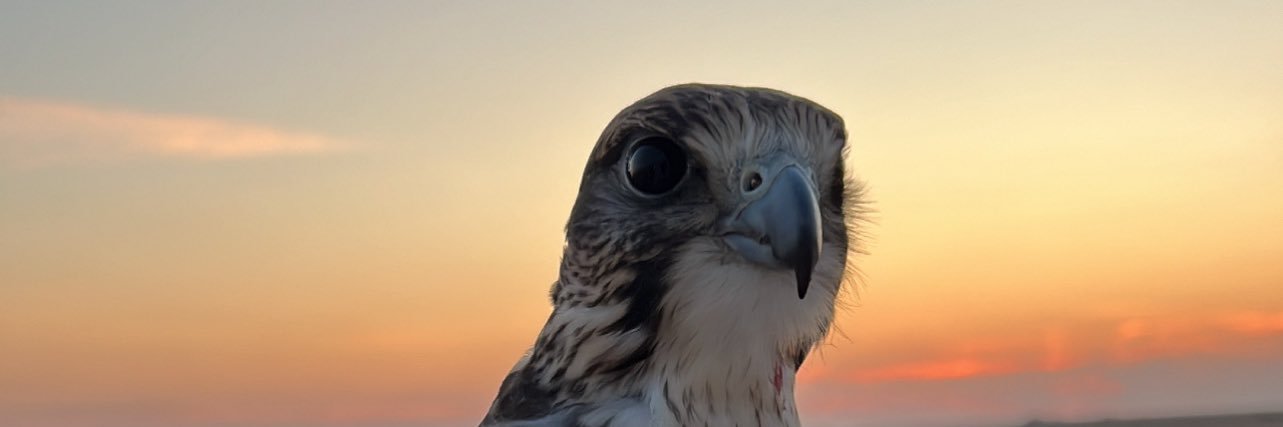 ازمه وتعدي🪶 ❥ banner