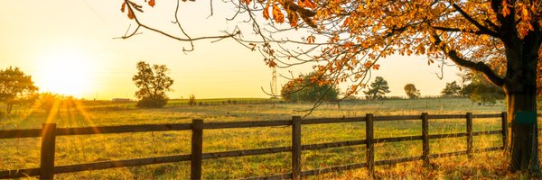 GreenStoneFCS Profile Banner