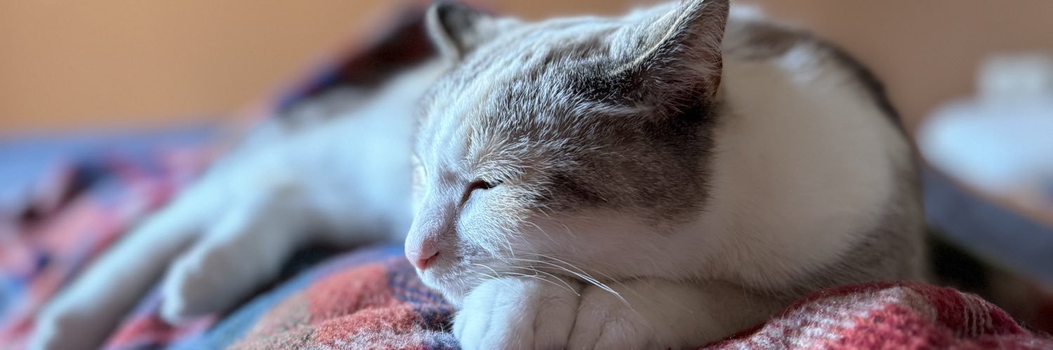 бабка в кедах banner