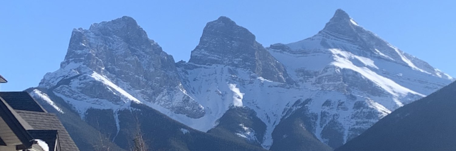 Christina Cella banner