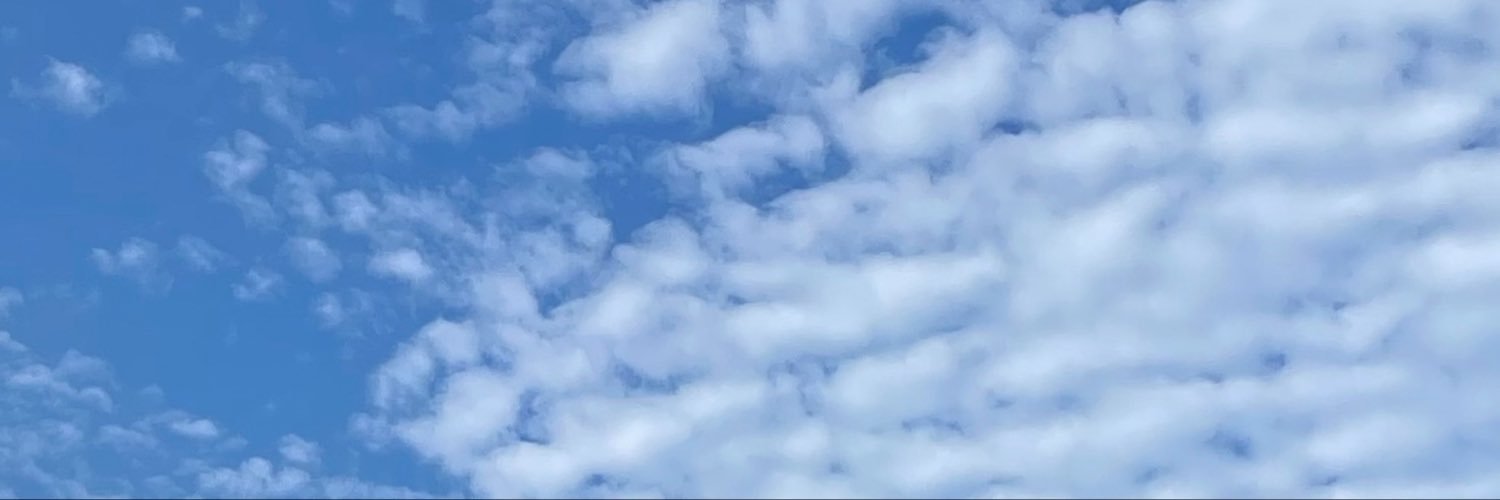 aunjourderose's profile banner image