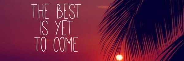 Bert Vandebuerie banner