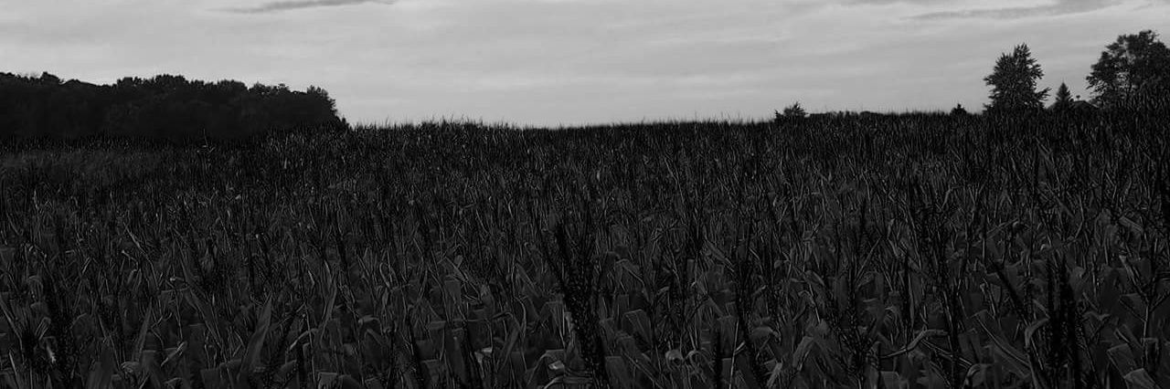 horrortrail's profile banner image