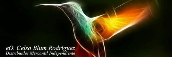 Blum Rodriguez Celso Profile Banner