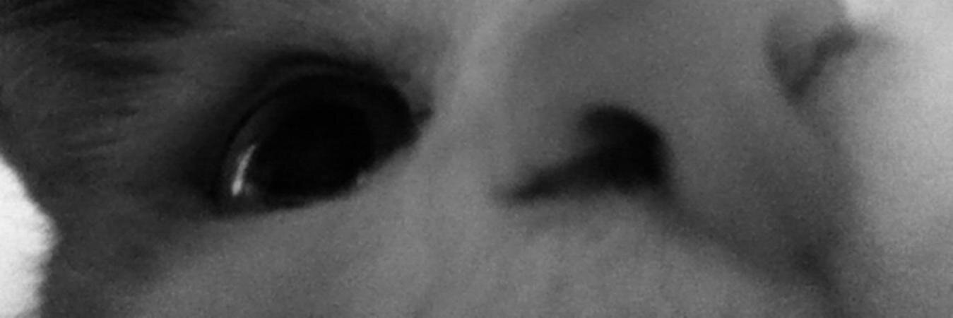 OdoTorpedo's profile banner image