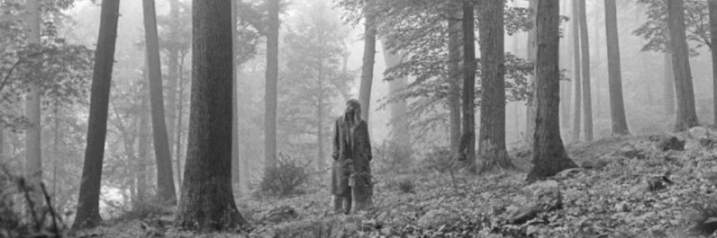 melaniesoff's profile banner image