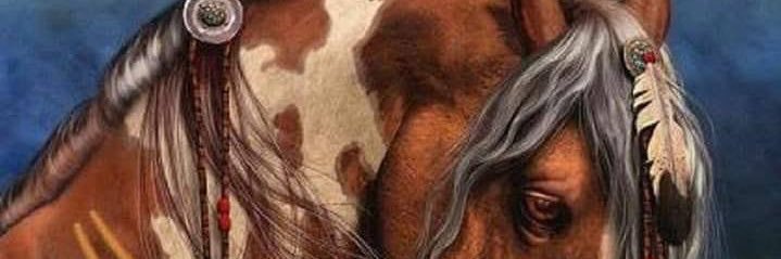 monap24's profile banner image