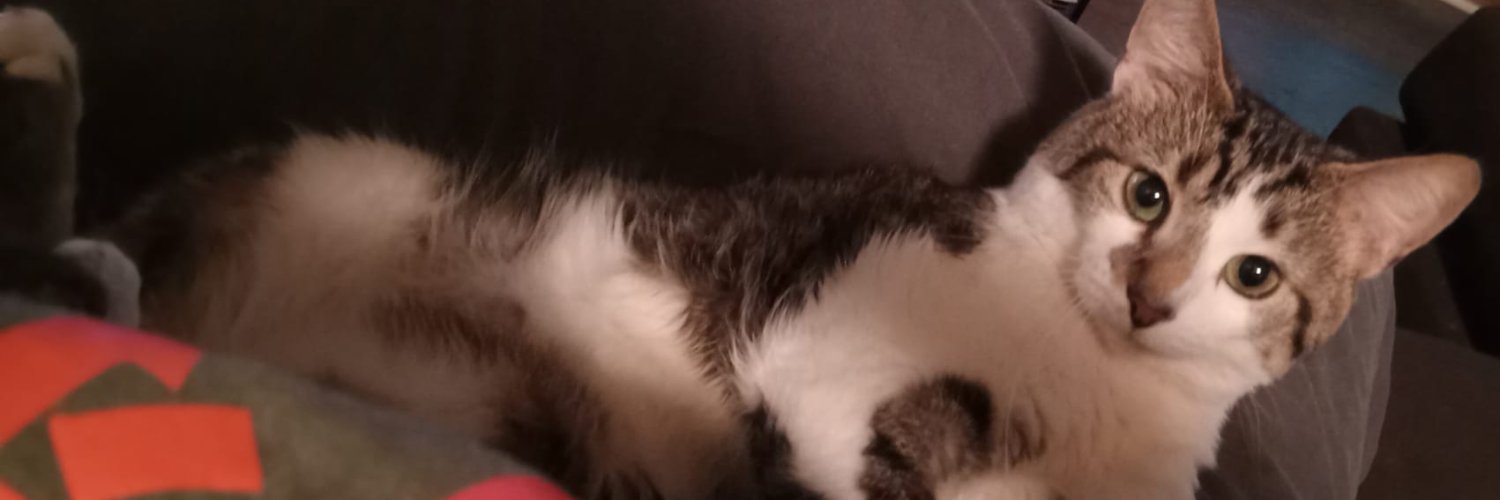 badmoodbi's profile banner image