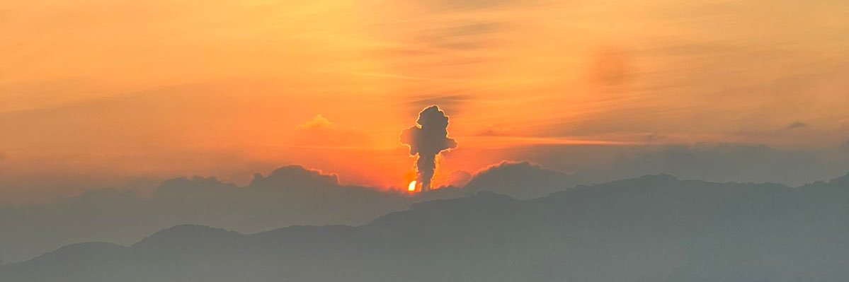 🦁 banner