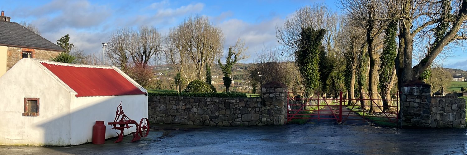 Diarmaid Fitzgerald banner