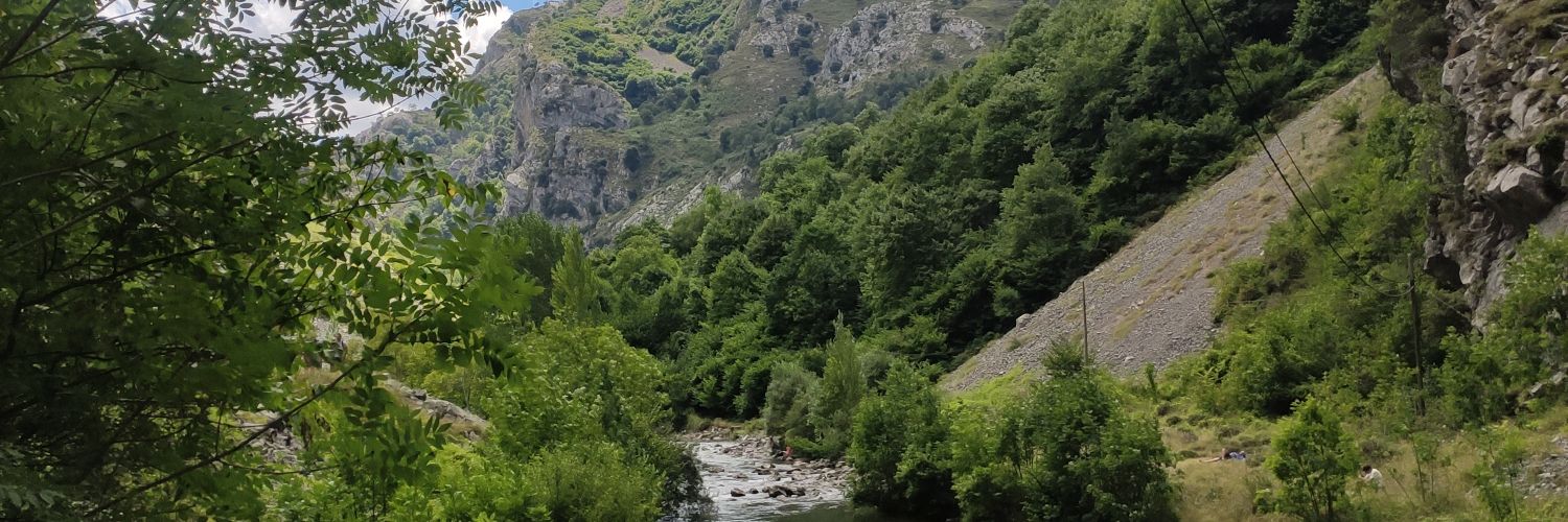 CesitarSchez's profile banner image