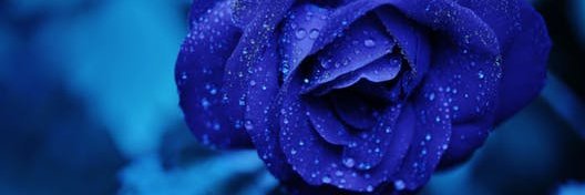 MainaHildah's profile banner image