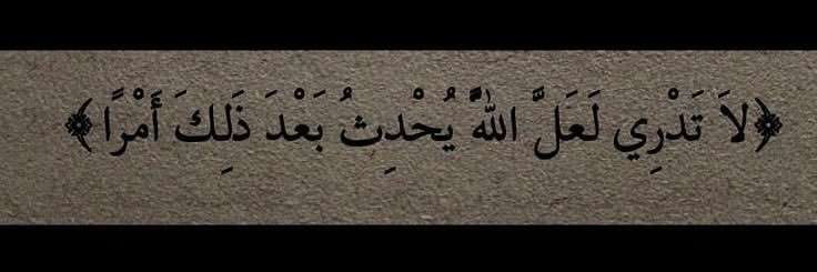 NF_1491's profile banner image