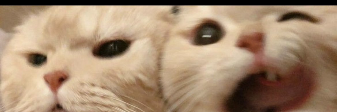 seymanurcimen's profile banner image