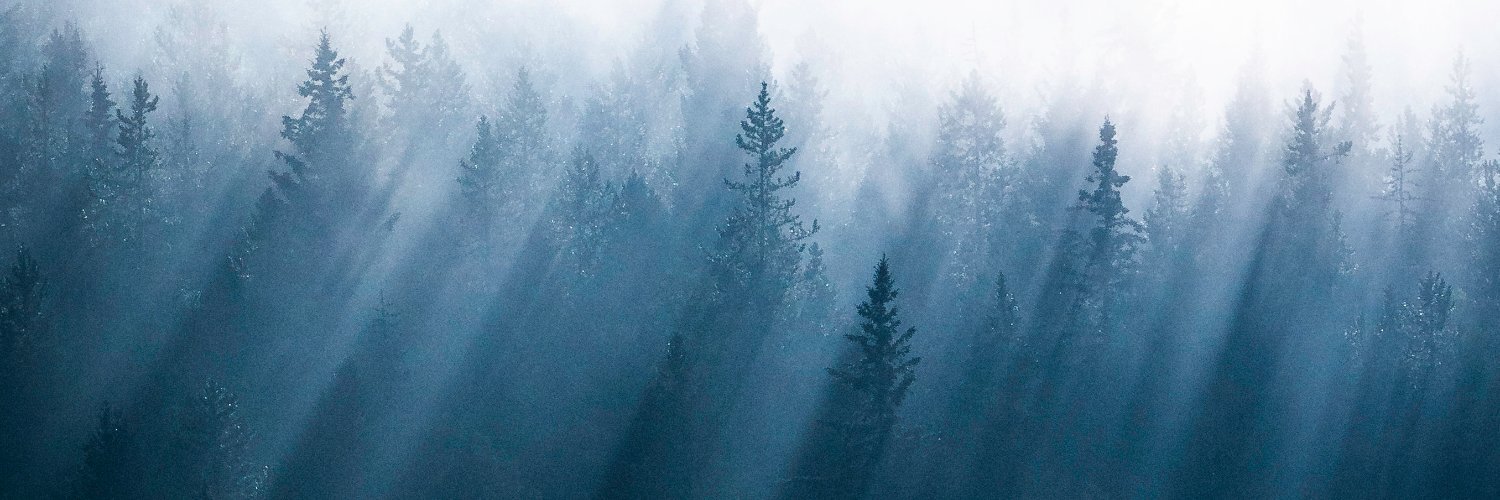 Michael Hollender banner