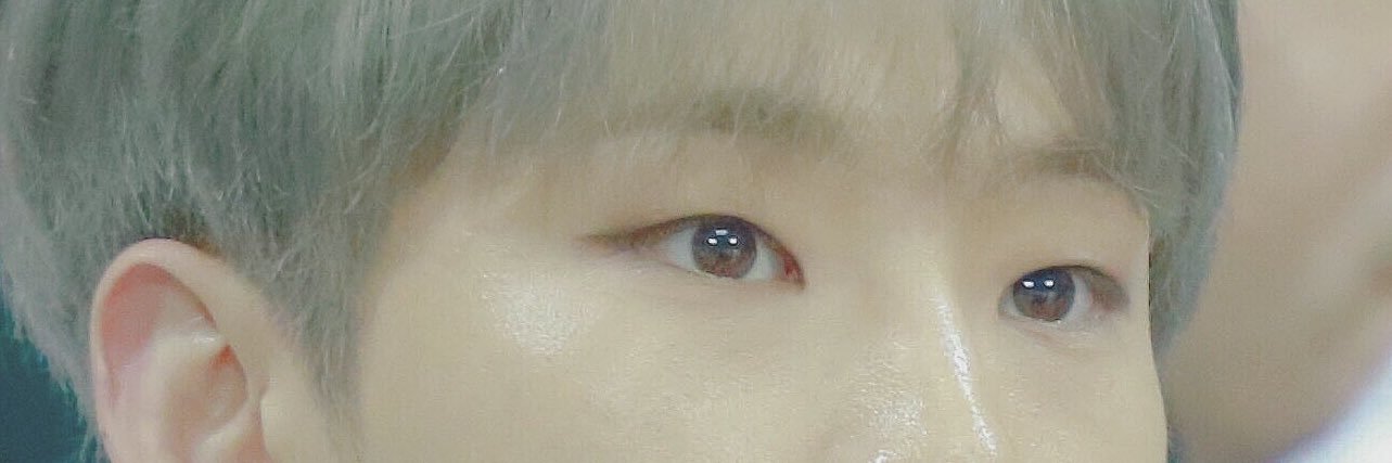sᴏᴏɴɪᴇ ᴘɪᴇs 🐯 banner