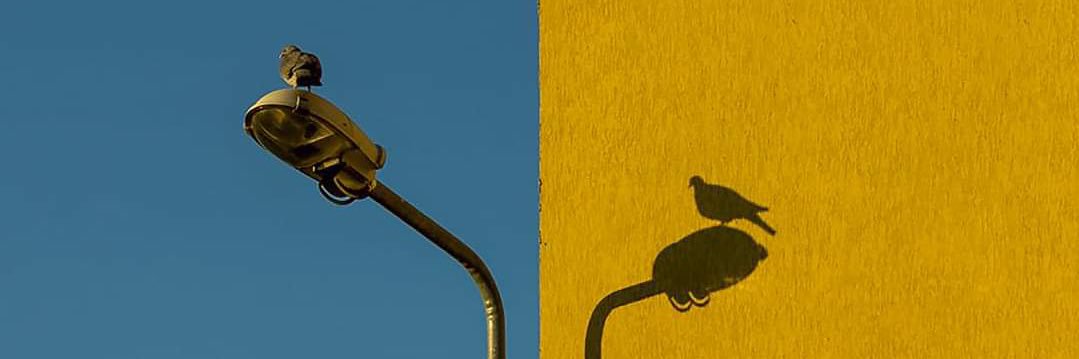 Ezzo™ banner