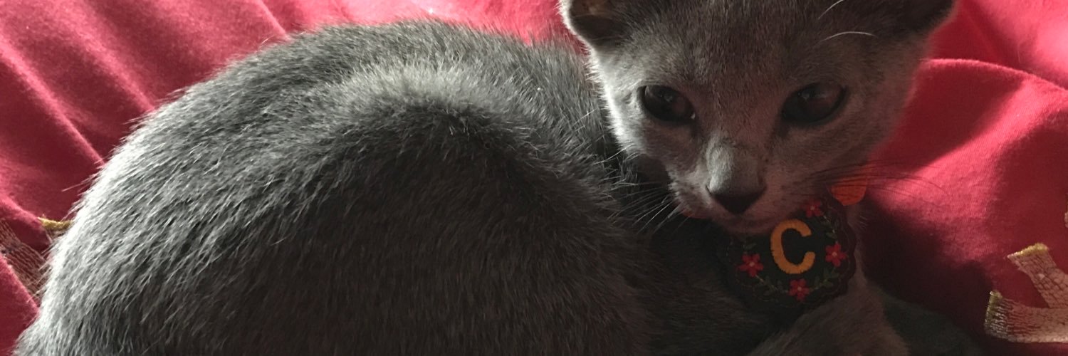 Cher Man Mjá banner