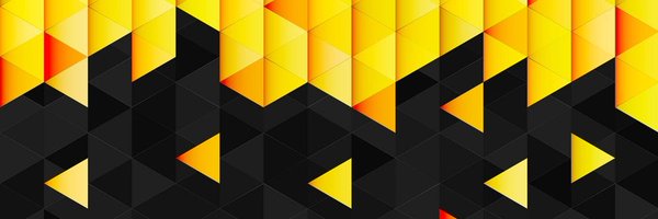 salc2 Profile Banner
