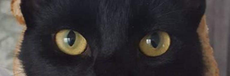 Garyneuk's profile banner image