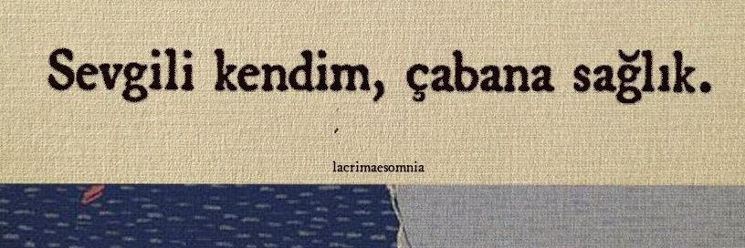 festinalente__'s profile banner image