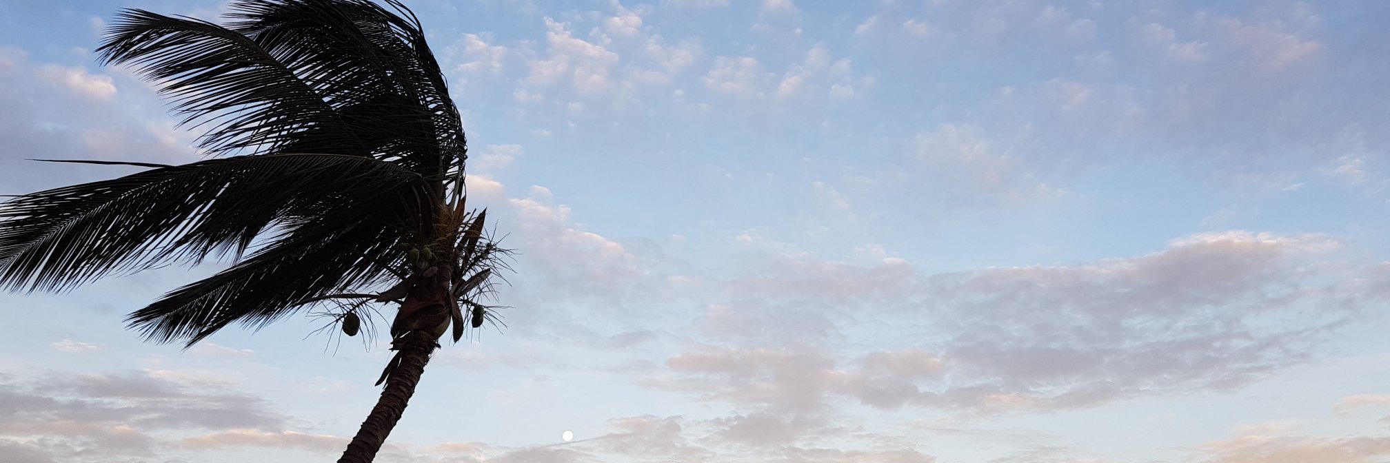 YathunaMatata's profile banner image