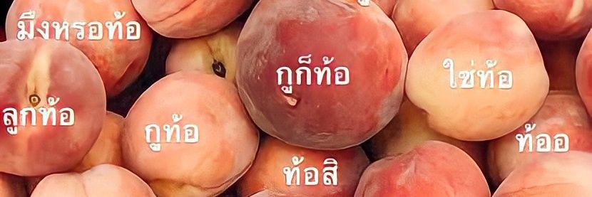 แอคไหนใครจะรู้☆* banner