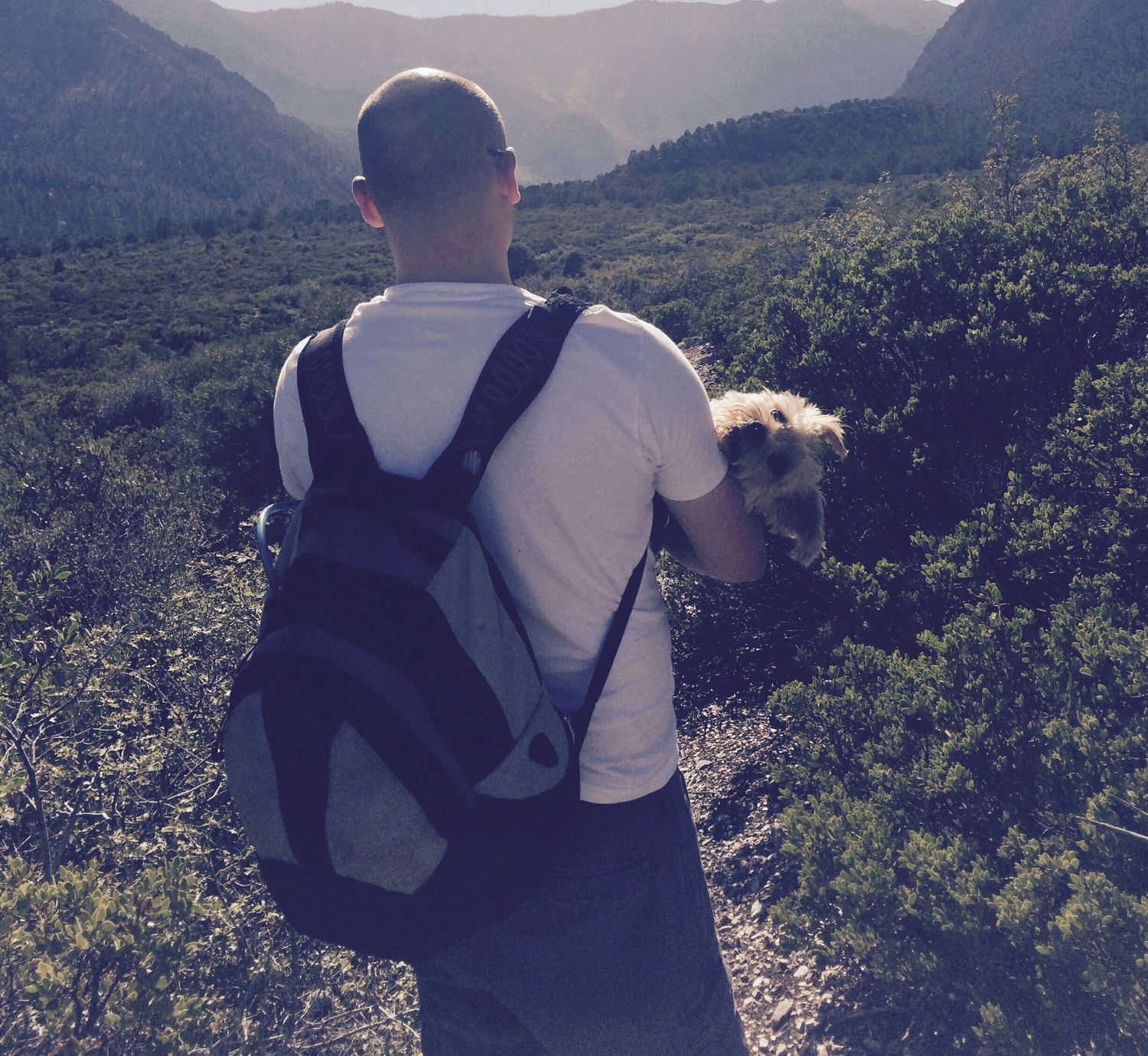 cslaubaugh's profile banner image