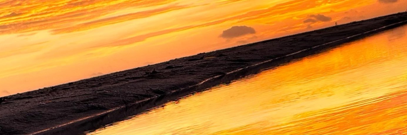 silvanrojas's profile banner image