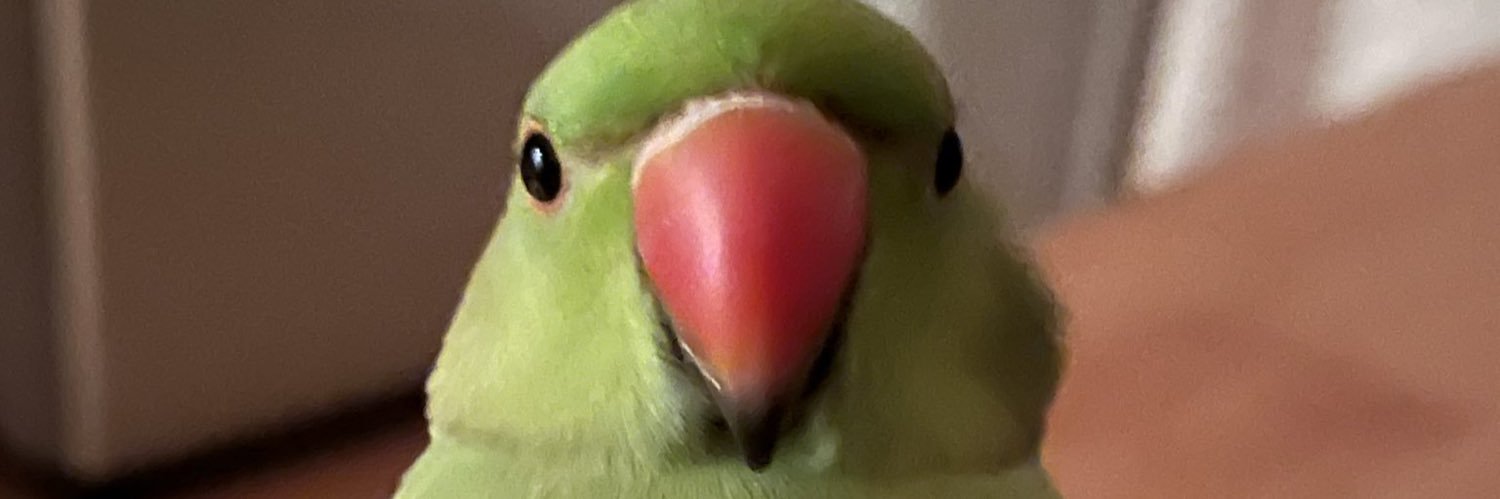 MERLE FREAKIN' BIRD !! banner