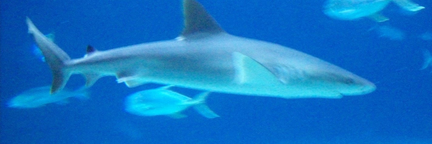 JorgeColman3's profile banner image