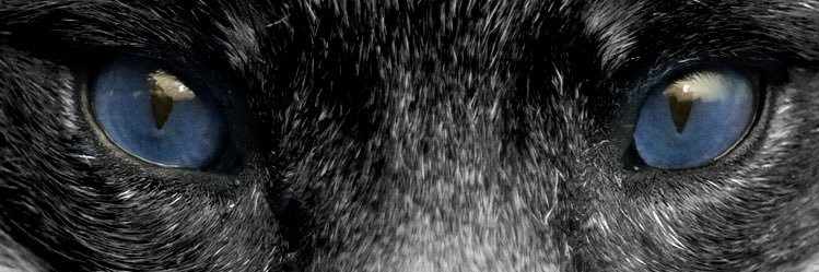 Jord banner