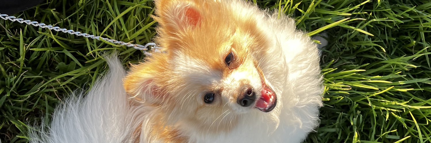 regardlessmont's profile banner image