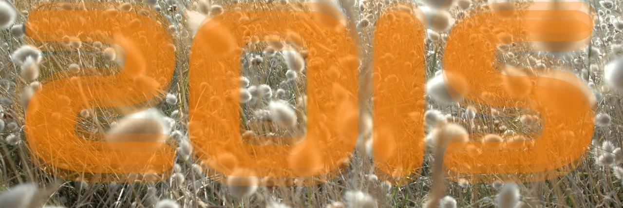 maisonedition's profile banner image
