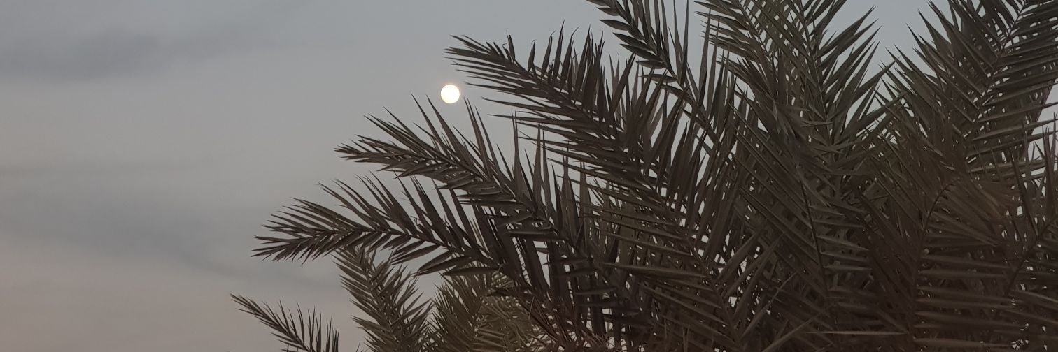 فاطمة الخُزاعيّ banner