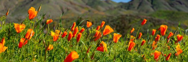 UCCESheepNGoat Profile Banner