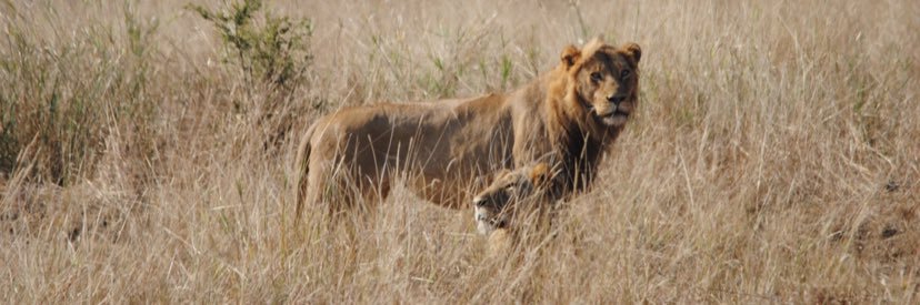 Randy Keumogne banner