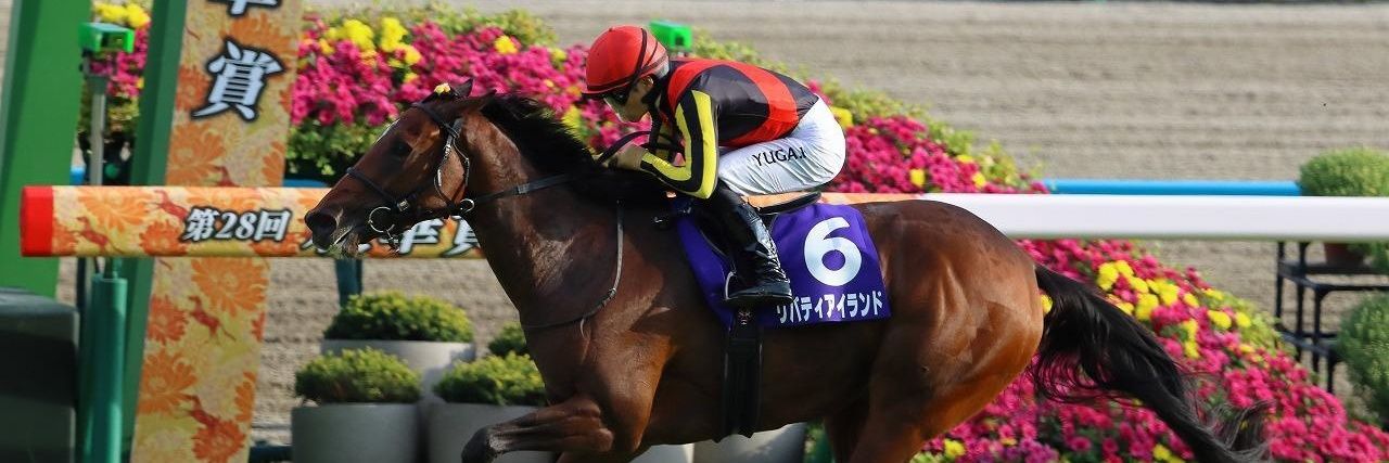 ᮆᮛᮥᮔᮧᮃ ᮜᮤᮄᮔ᮪ᮛᮦᮞ᮪ | 😈🎨🪶🎧🔧📜👁‍🗨 banner