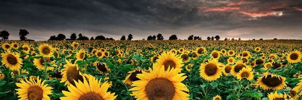 GodlessJimmy Profile Banner