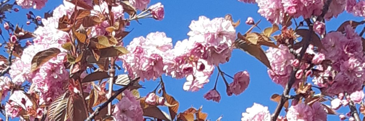 margitkg65's profile banner image