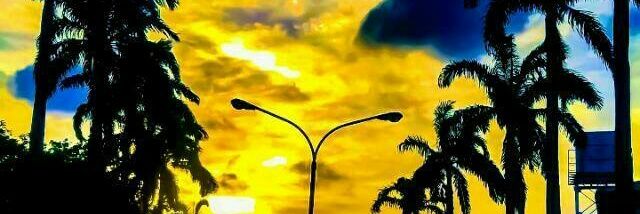 Oliseh From The Delta.💯 banner