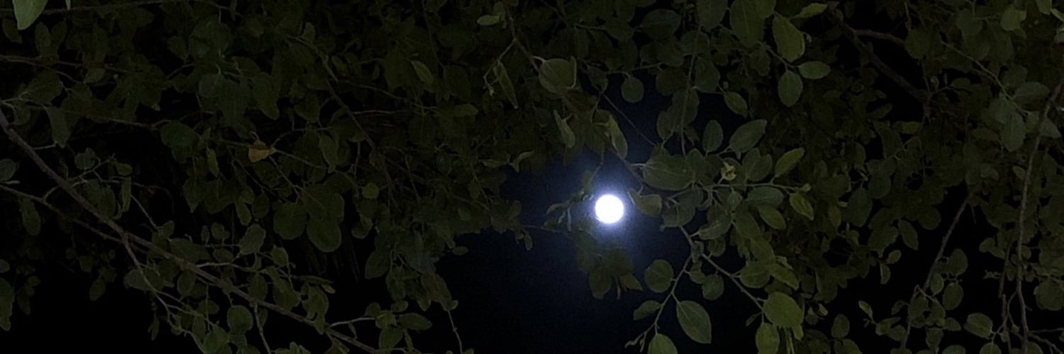 ًًً banner