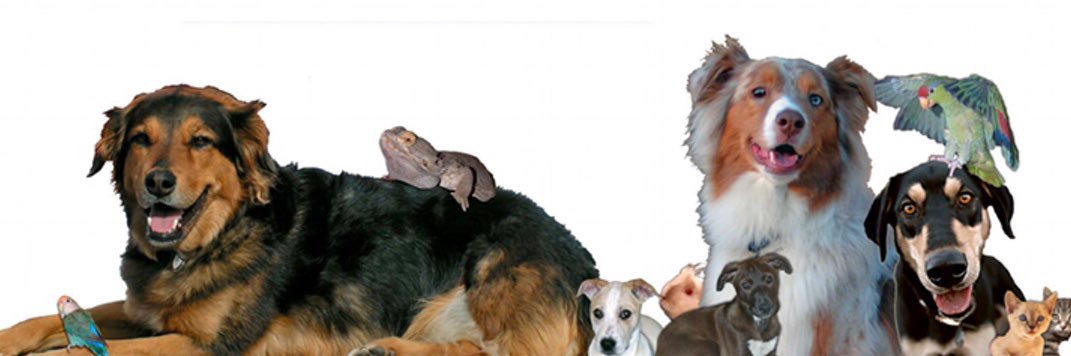 Humane Society C. OR banner