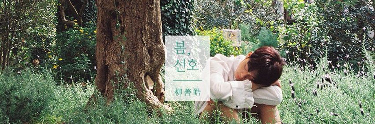 유선호 갤러리 banner