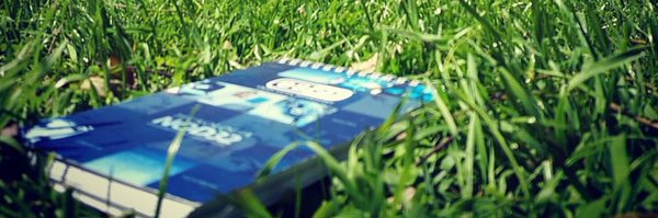 Padidesoft Profile Banner