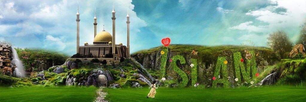 ArollShahII's profile banner image