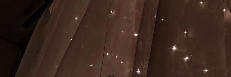 night owl girl banner